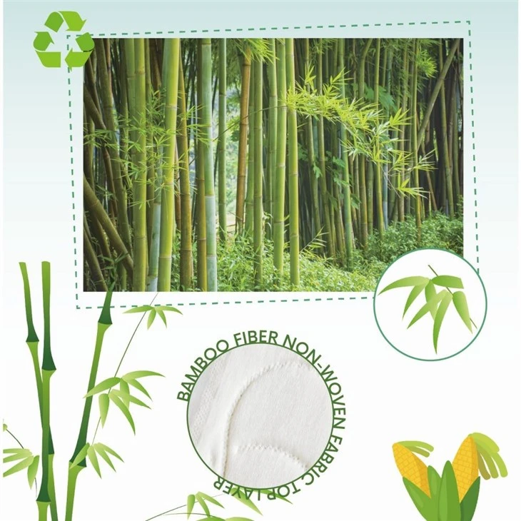 Organic Biodegradable Sanitary Pads